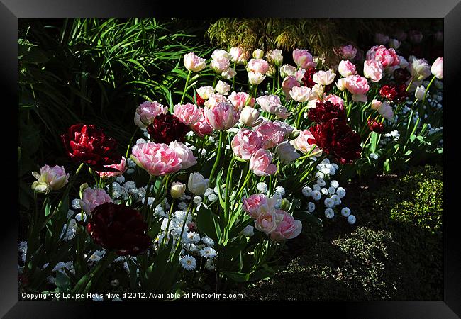 Spring Flowers Framed Print by Louise Heusinkveld