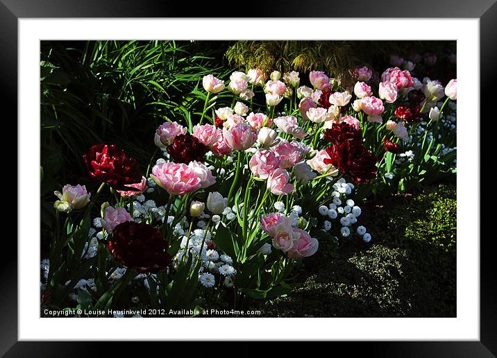 Spring Flowers Framed Mounted Print by Louise Heusinkveld