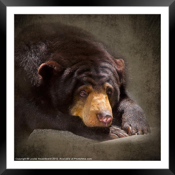 Sad Sun Bear Framed Mounted Print by Louise Heusinkveld