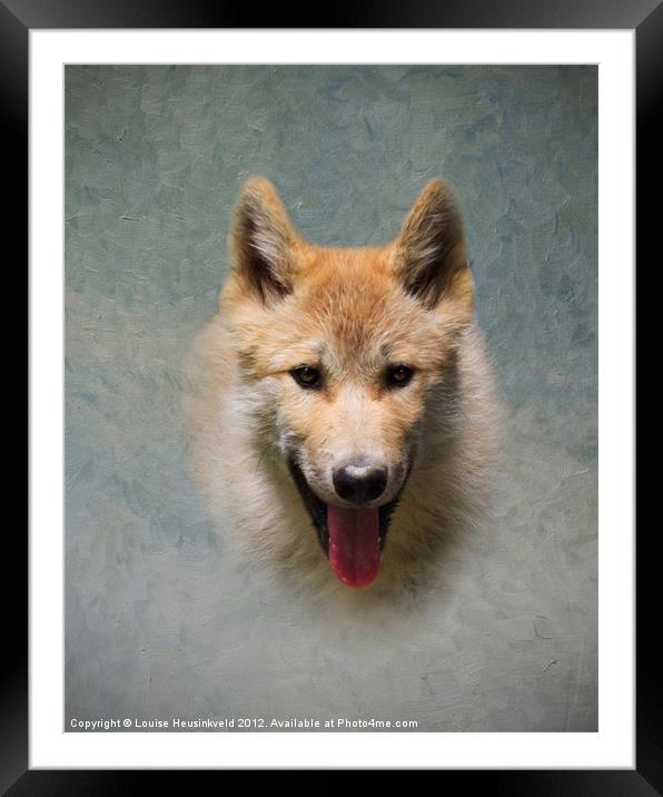 Wolf pup Framed Mounted Print by Louise Heusinkveld