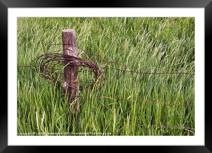 Barbed wire coil on a fencepost Framed Mounted Print by Louise Heusinkveld