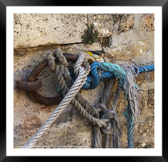 Grey Wagtail and Rope Framed Mounted Print by Louise Heusinkveld