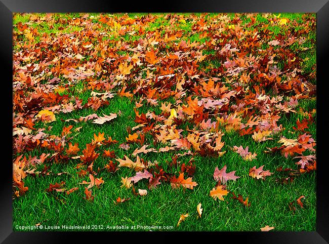 Oak leaves on the grass in autumn Framed Print by Louise Heusinkveld