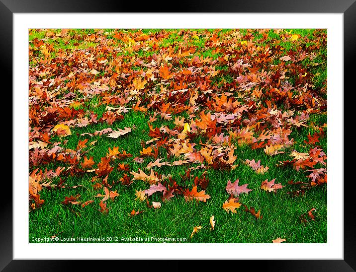 Oak leaves on the grass in autumn Framed Mounted Print by Louise Heusinkveld