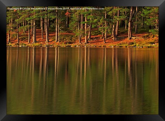 Pine forest and still waters of the loch at dawn Framed Print by Louise Heusinkveld