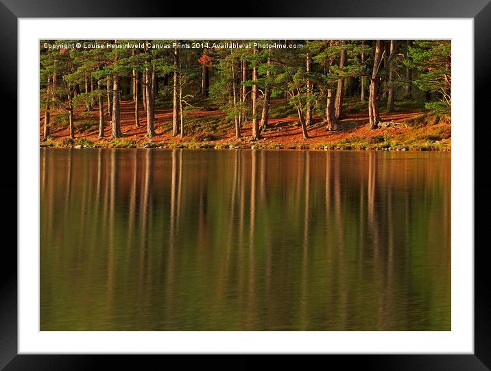 Pine forest and still waters of the loch at dawn Framed Mounted Print by Louise Heusinkveld