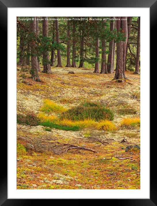 Lichens and Grasses Framed Mounted Print by Louise Heusinkveld