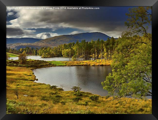 Tarn Hows, Lake District, Cumbria Framed Print by Louise Heusinkveld