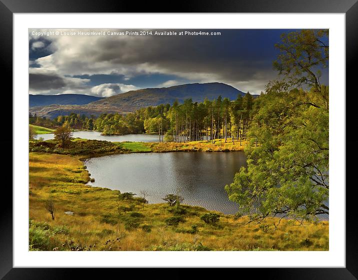 Tarn Hows, Lake District, Cumbria Framed Mounted Print by Louise Heusinkveld