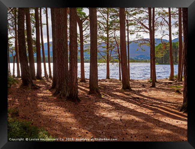 Loch Garten and the Abernethy Forest, Cairngorms,  Framed Print by Louise Heusinkveld