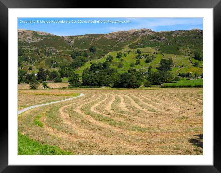 A field of freshly mown hay drying in Great Langda Framed Mounted Print by Louise Heusinkveld
