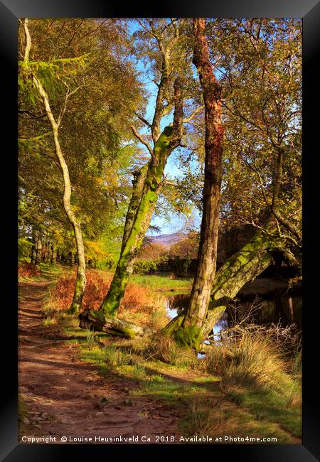Footpath at the edge of Lantys Tarn, Lake District Framed Print by Louise Heusinkveld