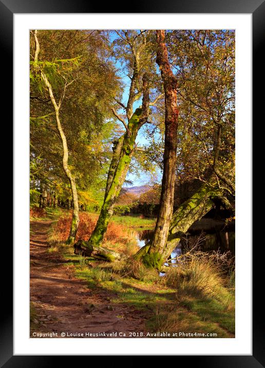 Footpath at the edge of Lantys Tarn, Lake District Framed Mounted Print by Louise Heusinkveld