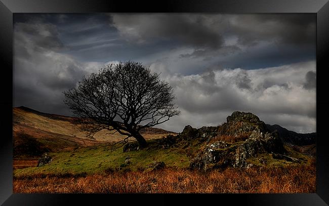 Wild and rugged Framed Print by Robert Fielding