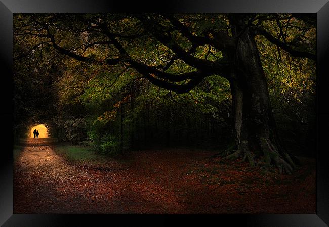 Autumn stroll Framed Print by Robert Fielding
