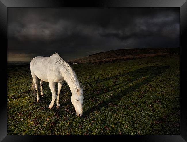 The white horse Framed Print by Robert Fielding