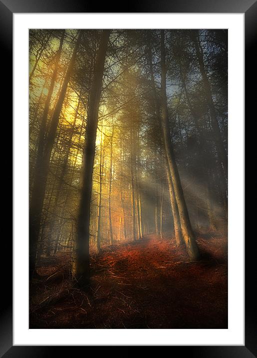 The rays of autumn Framed Mounted Print by Robert Fielding