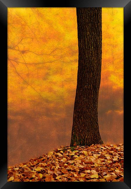 Autumn blur abstract Framed Print by Robert Fielding