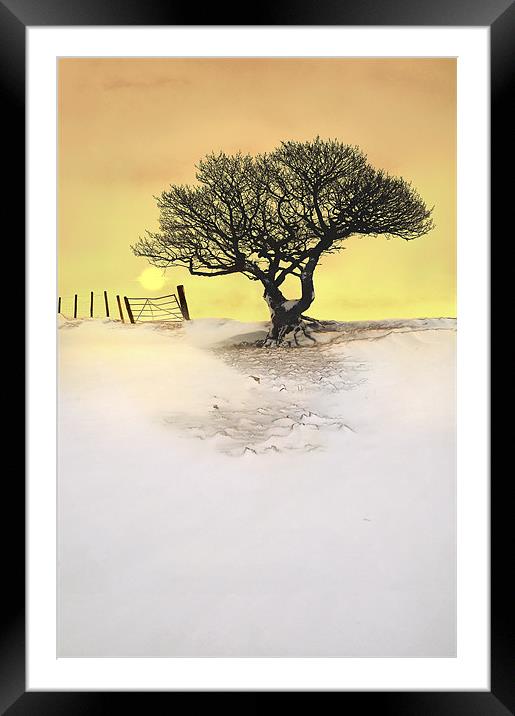 Winters glow Framed Mounted Print by Robert Fielding