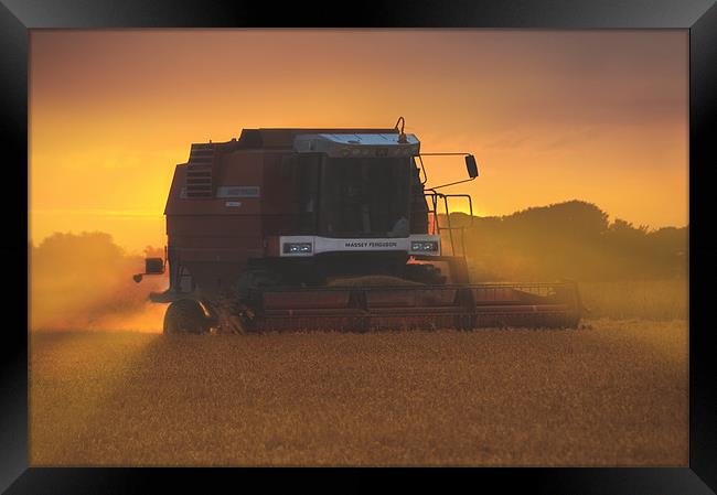 Golden harvest Framed Print by Robert Fielding