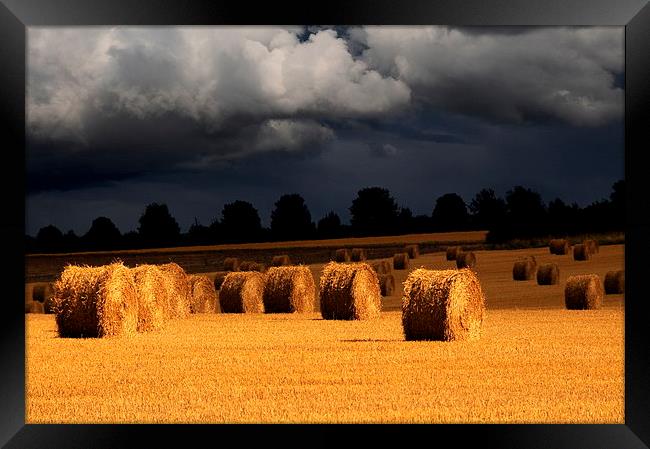 Harvest storm Framed Print by Robert Fielding