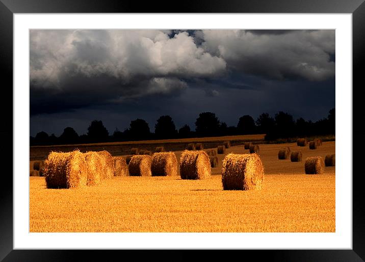 Harvest storm Framed Mounted Print by Robert Fielding