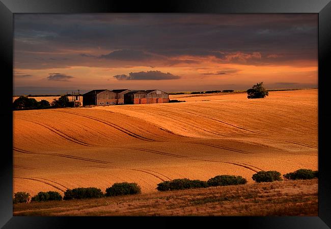 last light over the wheat fields Framed Print by Robert Fielding