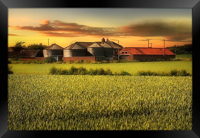 The old farm Framed Print by Robert Fielding