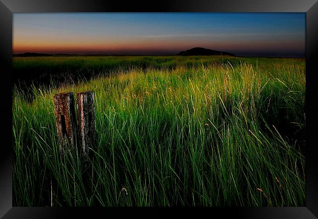 Just grass Framed Print by Robert Fielding