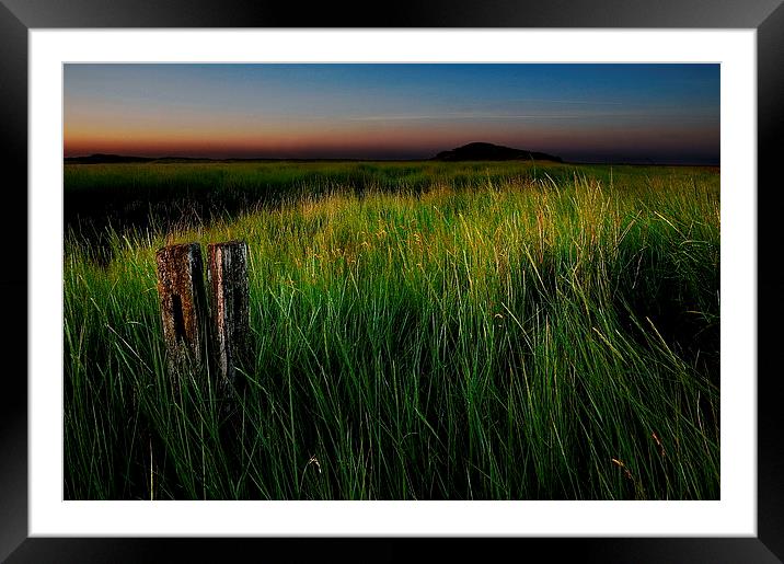 Just grass Framed Mounted Print by Robert Fielding