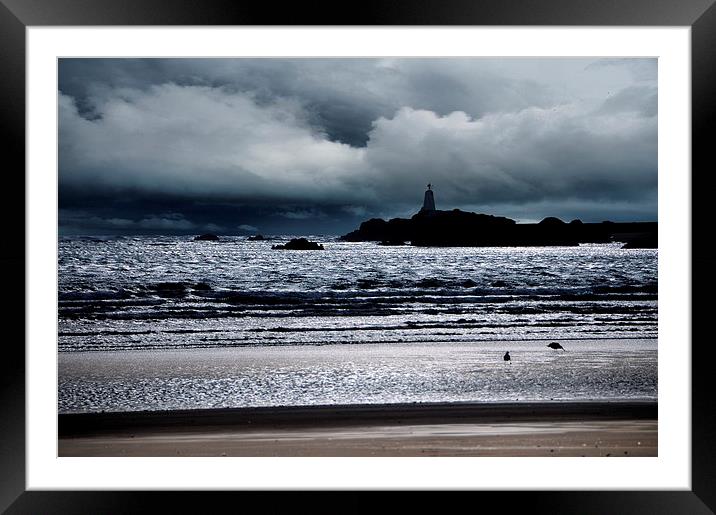  Llandwyn island anglesey Framed Mounted Print by Robert Fielding