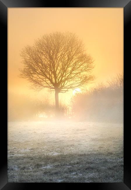 Misty sunrise  Framed Print by Robert Fielding