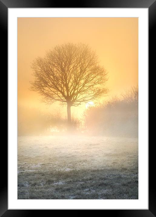 Misty sunrise  Framed Mounted Print by Robert Fielding