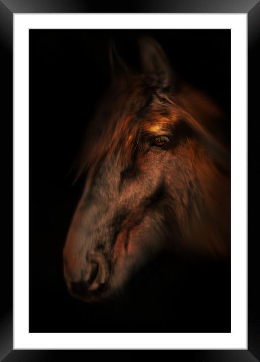 Portrait of a horse Framed Mounted Print by Robert Fielding