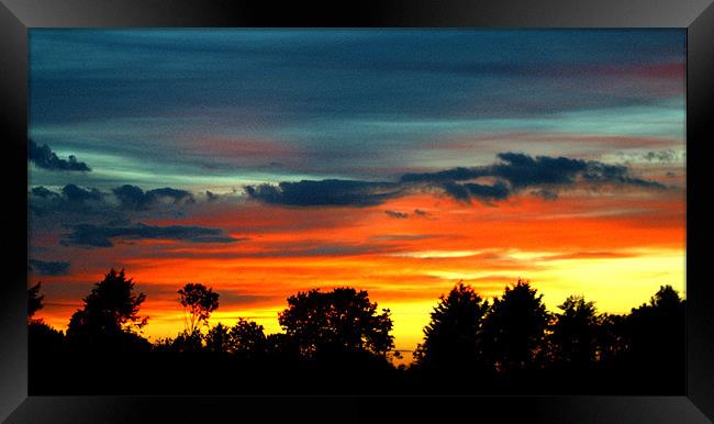 Sunset Thought the Trees Framed Print by John Boekee