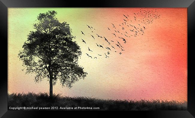 The Birds Framed Print by michael pearson