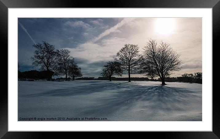 Winter Shadow Framed Mounted Print by Angie Morton