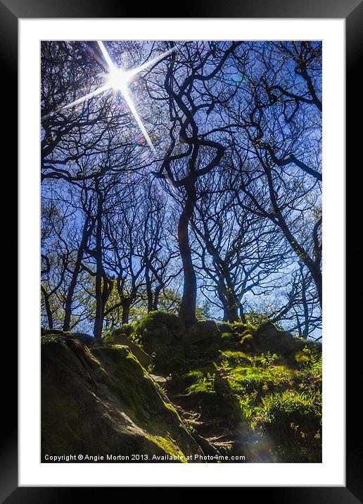 Starring Padley Gorge Framed Mounted Print by Angie Morton