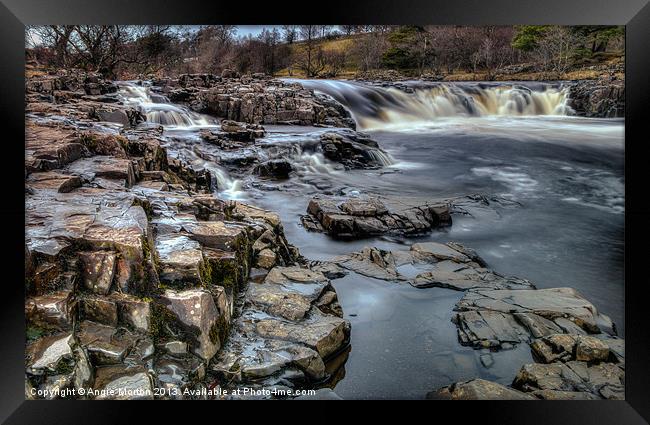 Low Force on the Tees Framed Print by Angie Morton