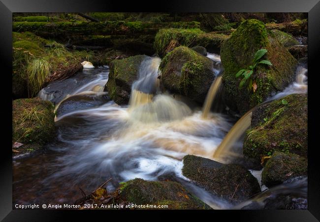 Wyming Brook Pool Framed Print by Angie Morton
