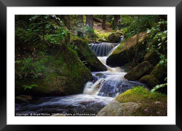 Spring Into Wyming Brook Framed Mounted Print by Angie Morton