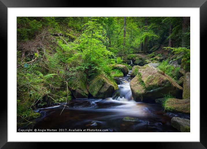 Wyming Brook in Spring Framed Mounted Print by Angie Morton