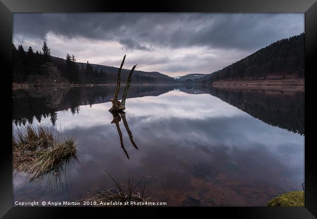 Broken Tree on Derwent Reservoir Framed Print by Angie Morton