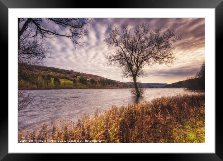 Morehall Reservoir Framed Mounted Print by Angie Morton
