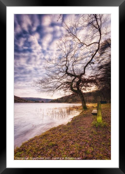 Morehall Reservoir Bench and Tree Framed Mounted Print by Angie Morton