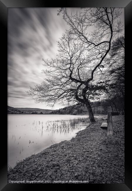 Morehall Reservoir Companions in Mono Framed Print by Angie Morton