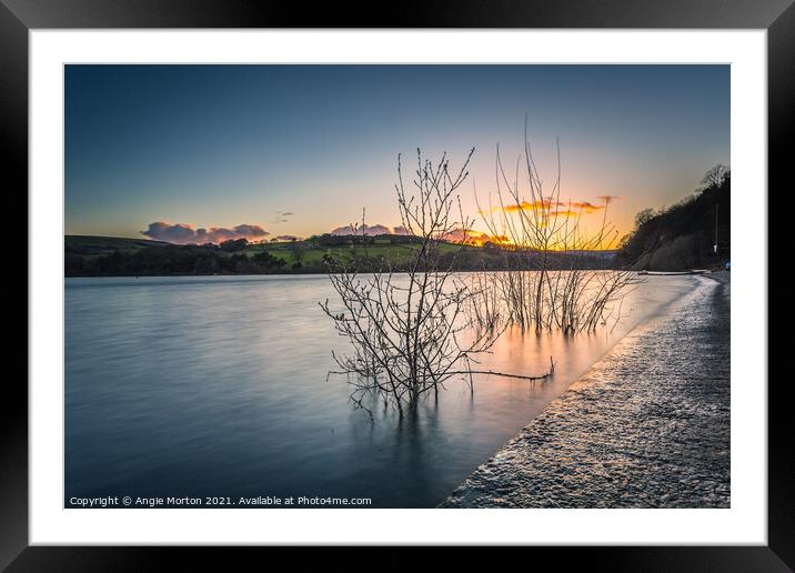 Willow in The Water at Damflask Framed Mounted Print by Angie Morton