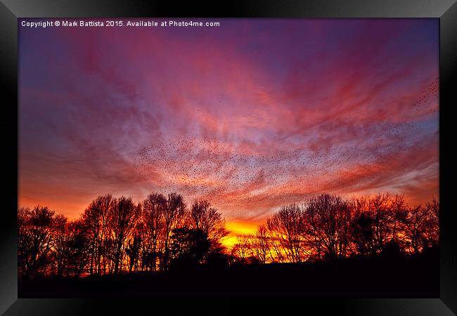  Starlings at Sunset Framed Print by Mark Battista