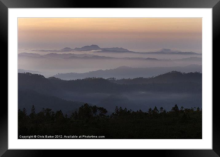 Jungle sunrise Framed Mounted Print by Chris Barker