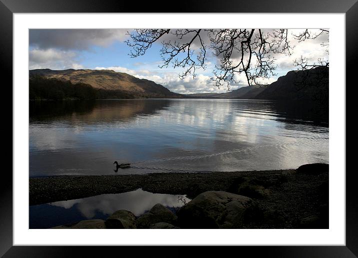 Reflections Framed Mounted Print by Chris Barker